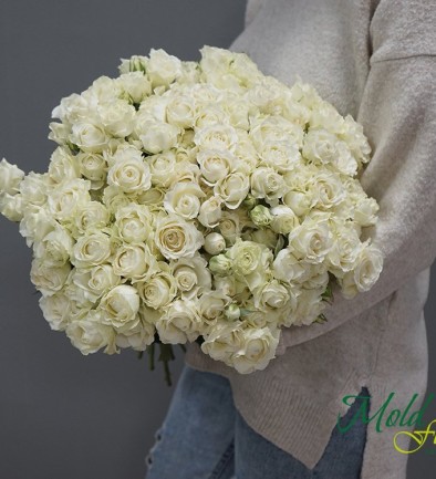 Роза кустовая белая/1ветка Фото 394x433
